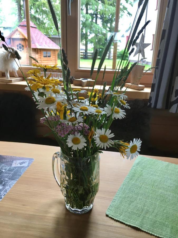 Chalet Karin 霍赫菲尔岑 外观 照片