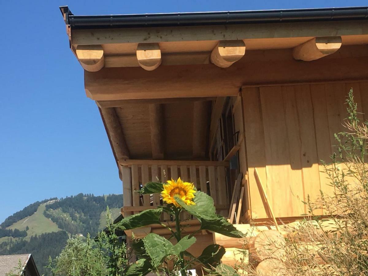 Chalet Karin 霍赫菲尔岑 外观 照片
